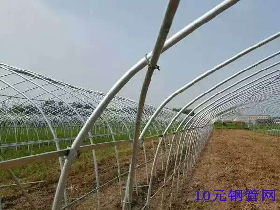 大棚斜撐、卡槽連接圖片