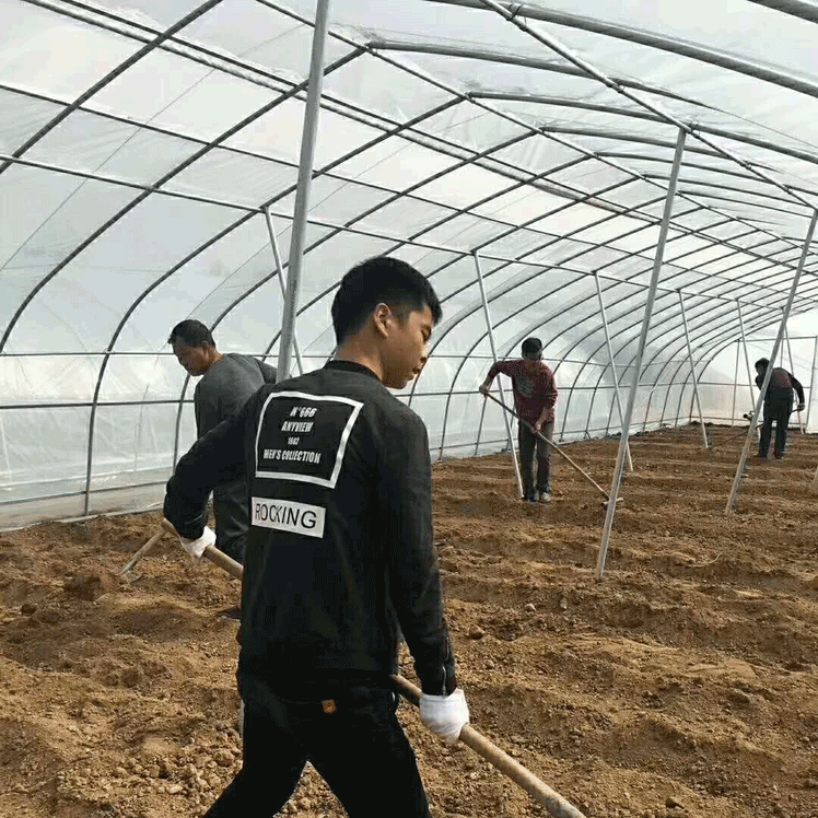 簡(jiǎn)易拱棚高清圖片