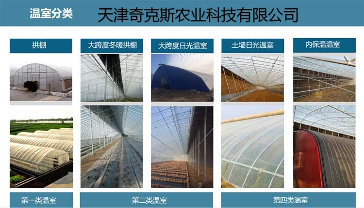 農(nóng)用大棚的造型結構分類圖片